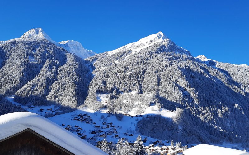 Ausblick im Winter vom Balkon des Haus Schallner auf die gegenüberliegenden verschneiten Berggipfel