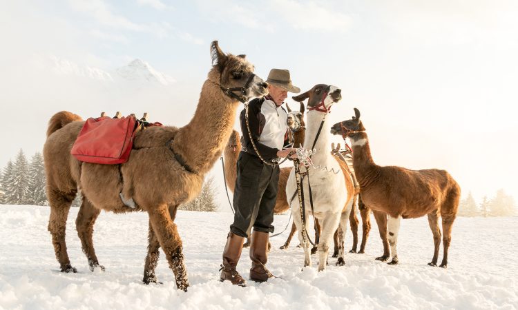 lamatrekking-im-montafon-c-andreas-haller-montafon-tourismus-gmbh-schruns_web